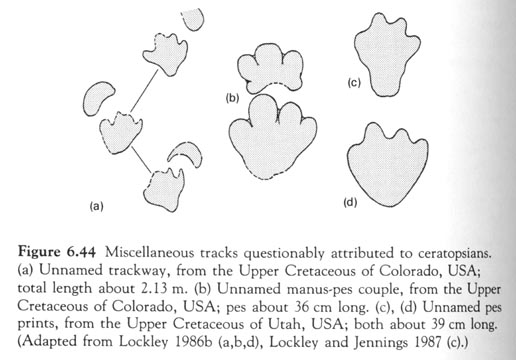 triceratops footprint