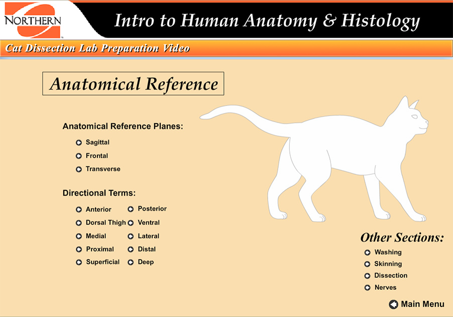 Screen capture of an anatomical reference section for anatomy.