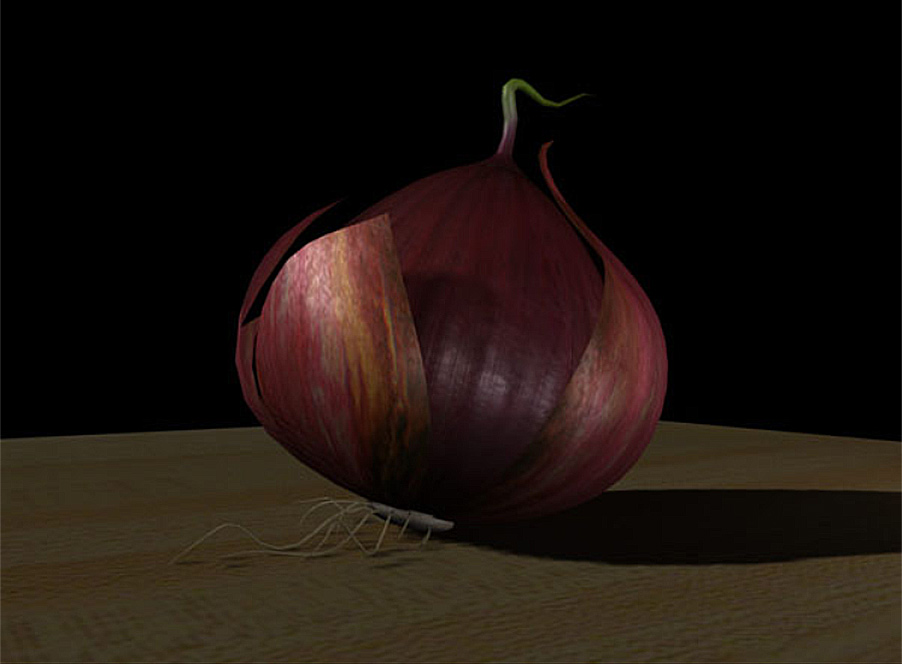 3D textured and lit model of a red onion