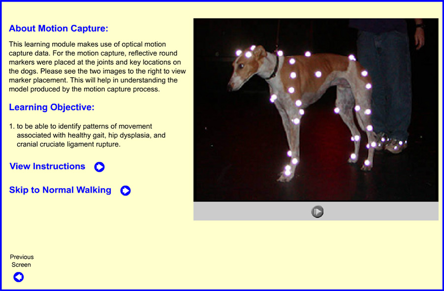 introduction screen for the learning module giving instructions and showing a photo of Stevie, a greyhound, with optical motion capture markers taped to his skin