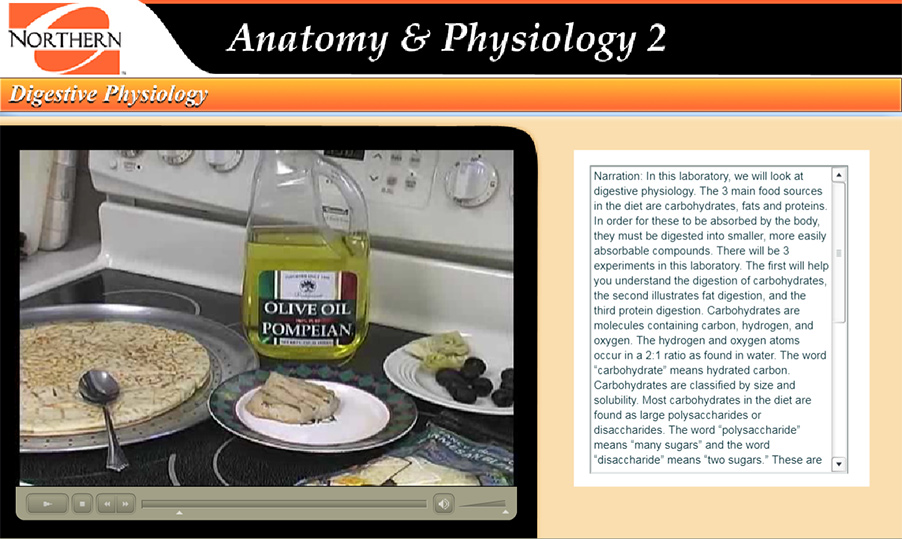 fats, proteins and carbohydrates to create a pizza and explanation of the online experiments