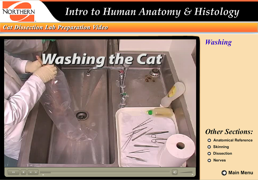 washing the cat scene, with cat being held over a large sink