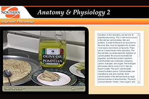 Digestive Physiology Lab Learning Module