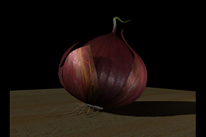 Side lit 3D scene of a purple onion on a wood counter top