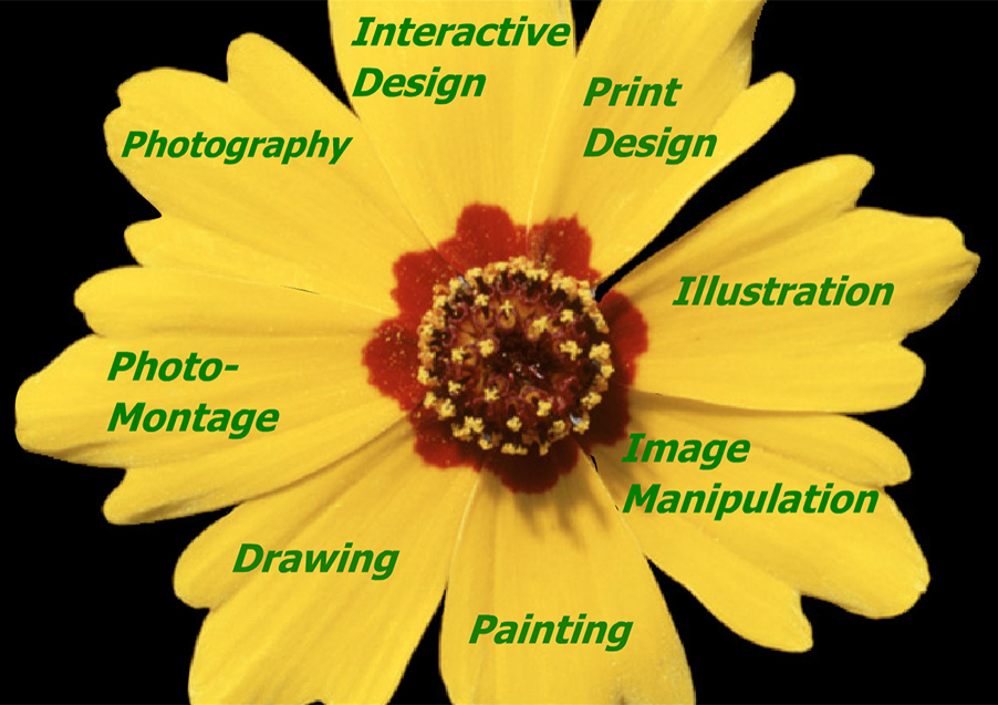 Coreopsis flower with portfolio menu items on petals