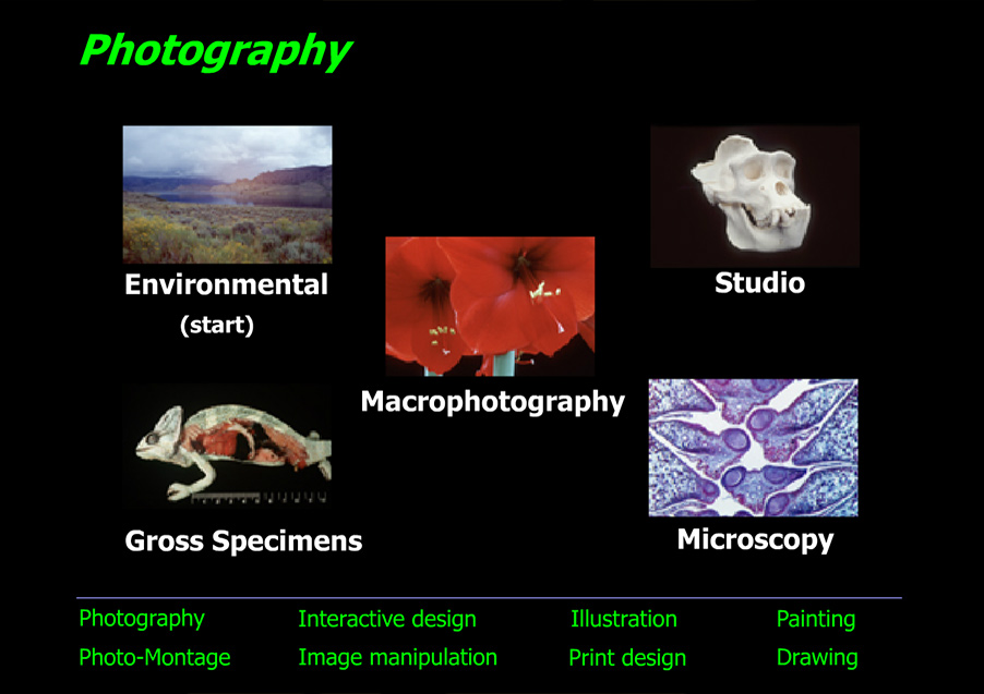 Categories of photography including environmental, studio, macrophotography, gross specimens, and photo microscopy
